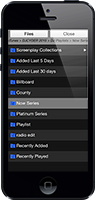 iPhone default skin (Browser view)